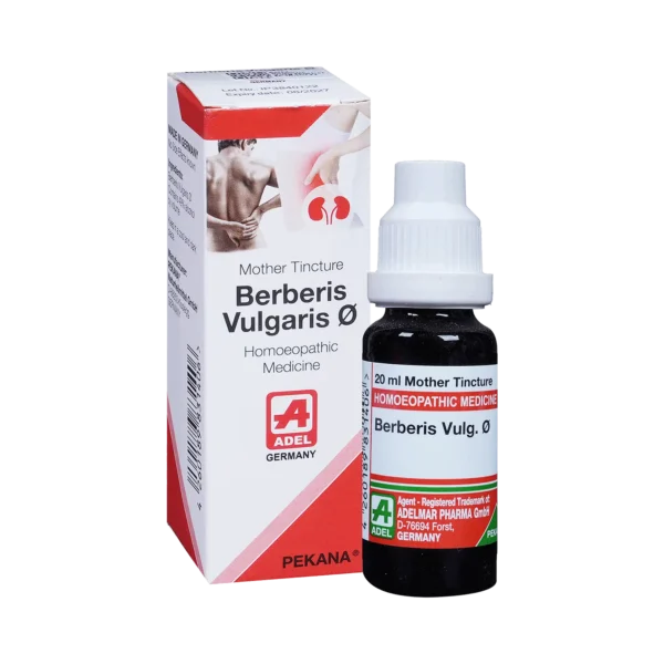 Berberis Vulgaris Q 20ml, Adel