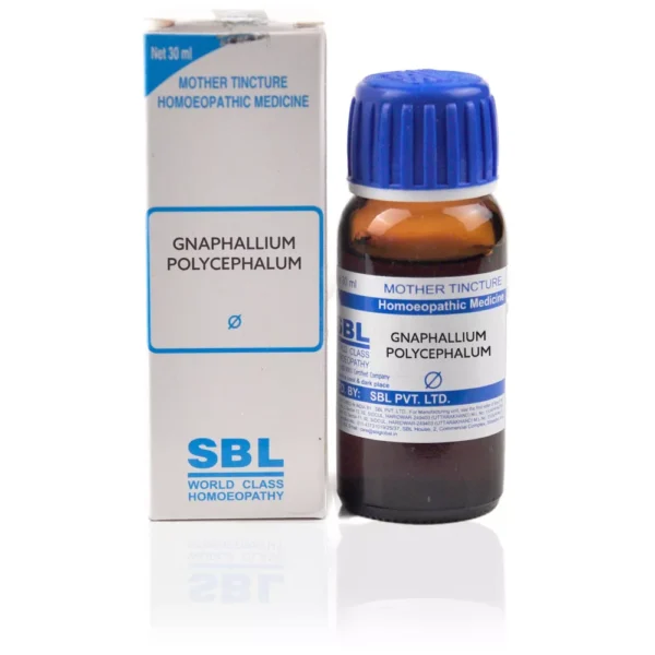Gnaphallium Polycephalum Q 30ml, SBL