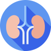 KIDNEY LOGO